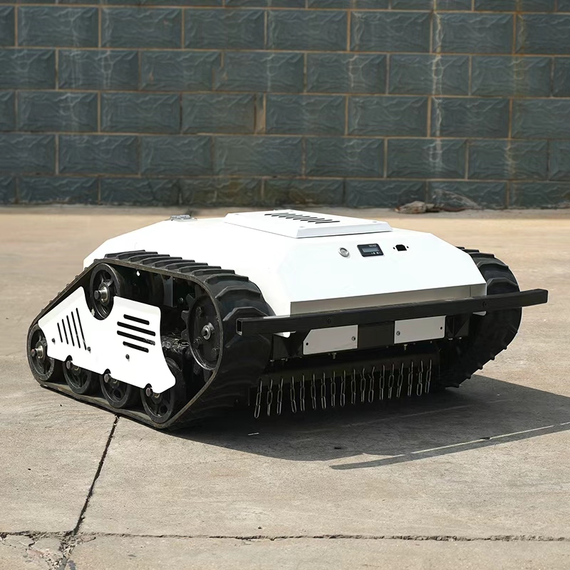 Powerful Durable Lithium Batte - Lawn Mower Battery recensie en prijs