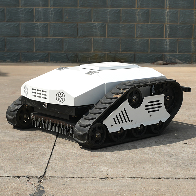 Powerful Durable Lithium Batte - Lawn Mower Battery recensie en prijs